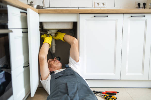 Best Sewer Line Repair  in Clinton, MI